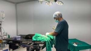 Puppy is undergoing a surgery