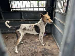 Ready to go back to his home