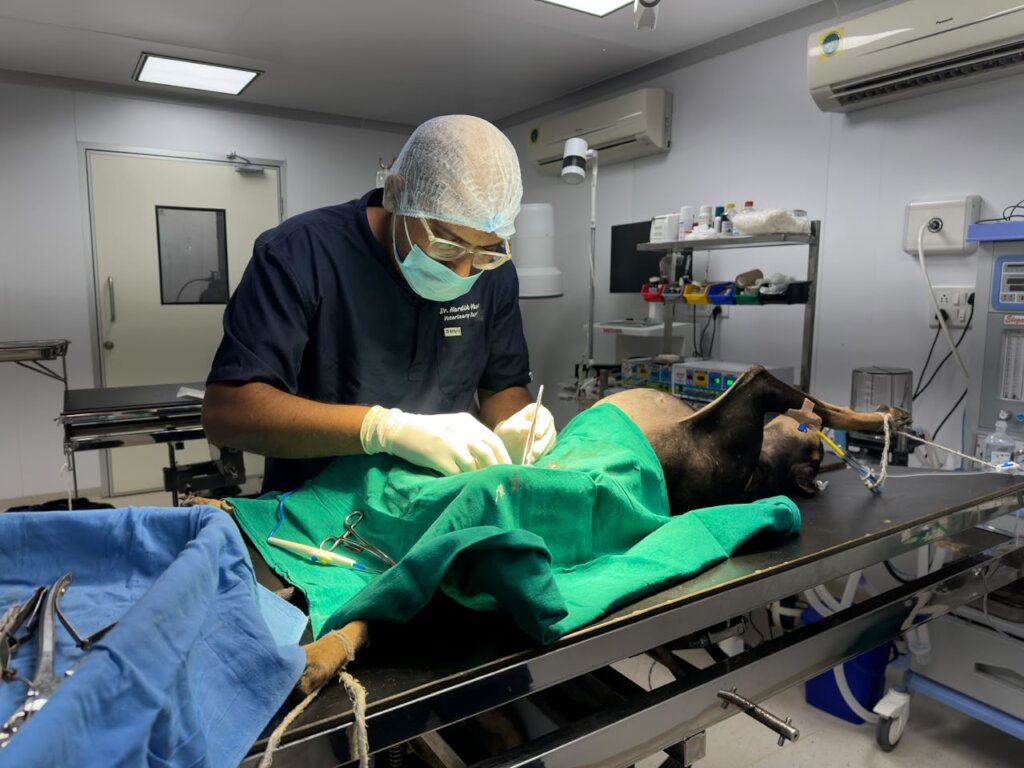 Removing the metal wire through Surgery