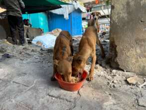 Reunion with mother & siblings