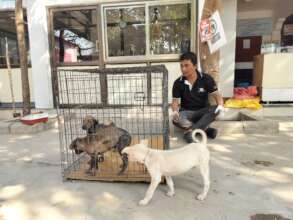 Round the clock supervision