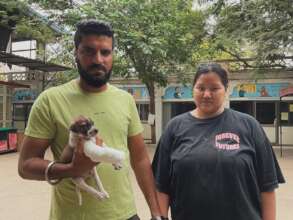 Spark's human parents