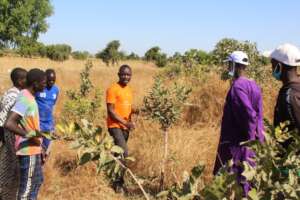 Field visit for training farmers