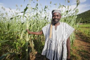 Restore environment for Sustainable living