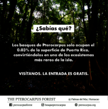 2017 "Sabia usted..." series - to be updated