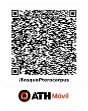 Making on-site donations via ATH easier in 2024