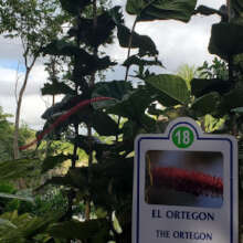 QR Codes will be added to current signage