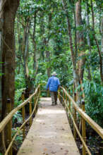 The elevated walkway in better times