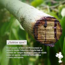 A Facebook Post in the "Did You Know?" Series