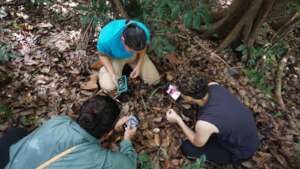 Students conducting Forest inventory research
