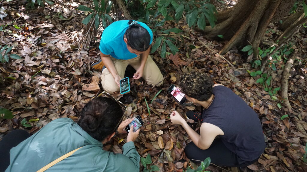Promote Learning about a Unique Forest Ecosystem