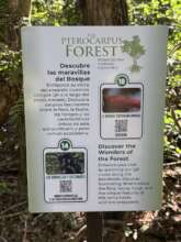 Sign at Forest Entrance about QR-Code System