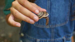 Student Holds a Banded Snail