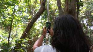 Photographing the Forest's Wonders