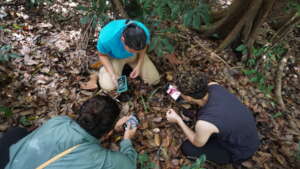 Students and Professor Seek Fungi