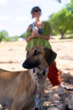 Aino with her new family