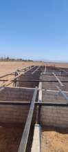 finishing the roofs at the Shems Refuge