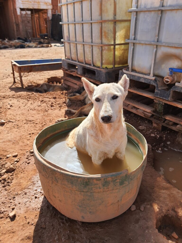 Keeping Cool