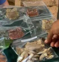 Sample of the herbal plants