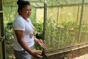 Irene explaining the use of the netted greenhouse.