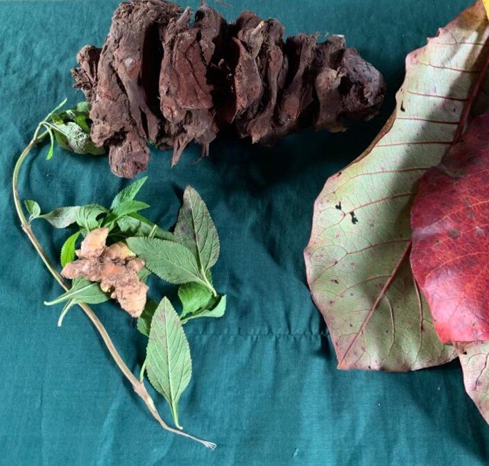 Maleku Indigenous Herb and Tea Business