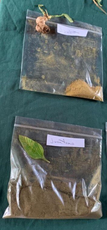 Maleku Indigenous Herb and Tea Business