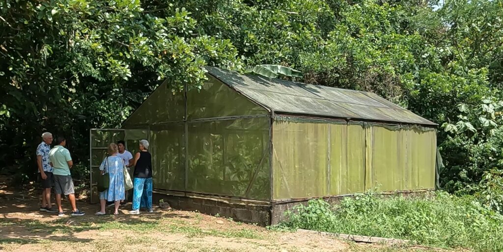 Maleku Indigenous Herb and Tea Business