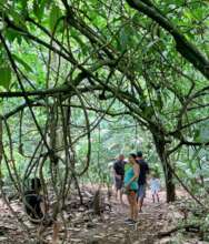 Maleku Jungle