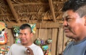 Maleku Indigenous Herb and Tea Business