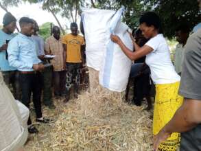 getting plant material to be composted in the heap