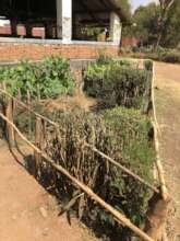 Gardens at Tiko to teach