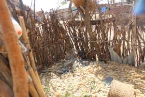 A compost heap for collecting waste