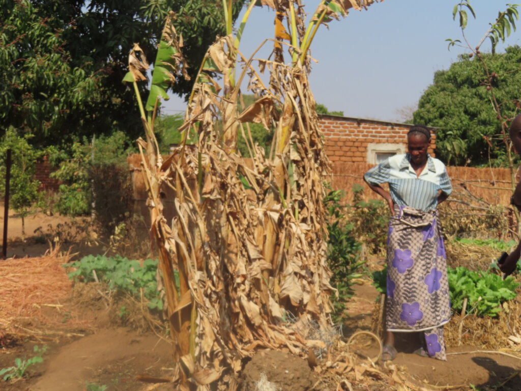 Tiko program: Preventing hunger and malnutrition