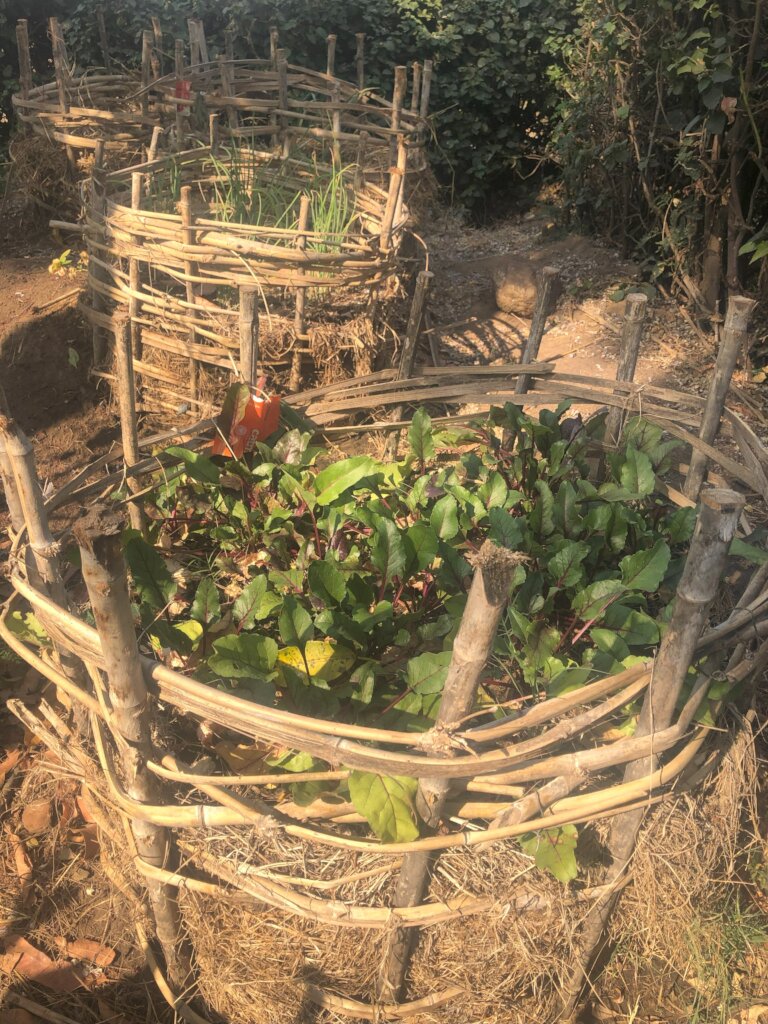 Tiko program: Preventing hunger and malnutrition