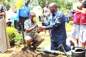TREE PLANTING IN SCHOOLS