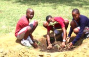 Birthday Tree Planting Project