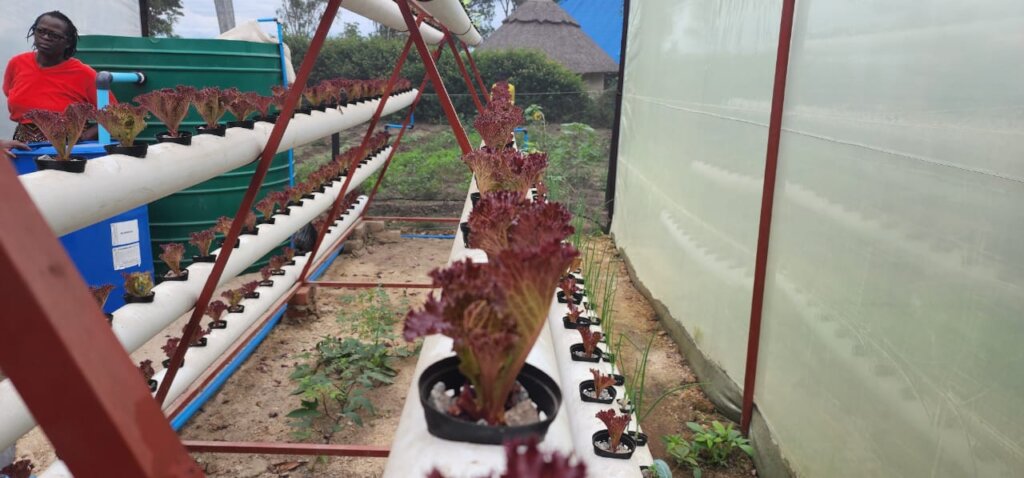 Funding a Orphanage for Abused Children in Africa