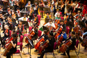 Massed Strings Ensemble 2024