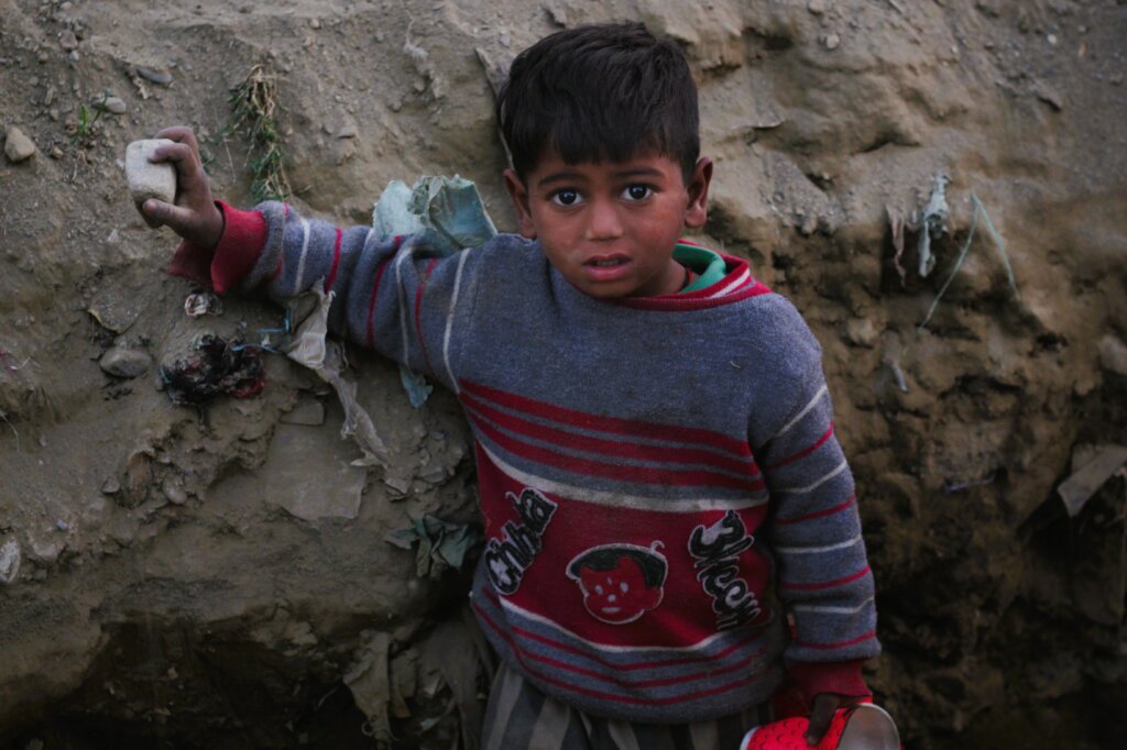 Help Us Survive This Winter