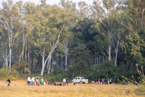 Picnic in the jungle on the 26th.