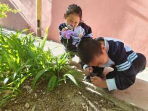 Hebei Sanhe Zanxintn Primary School