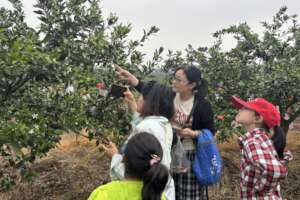 Yichang Three Gorges Youth Social