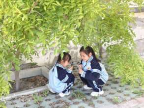 Hebei Sanhe Zanxintn Primary School