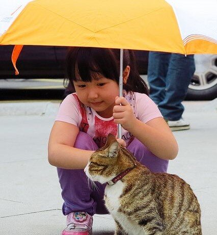 Education to nurture kindness in Chinese children
