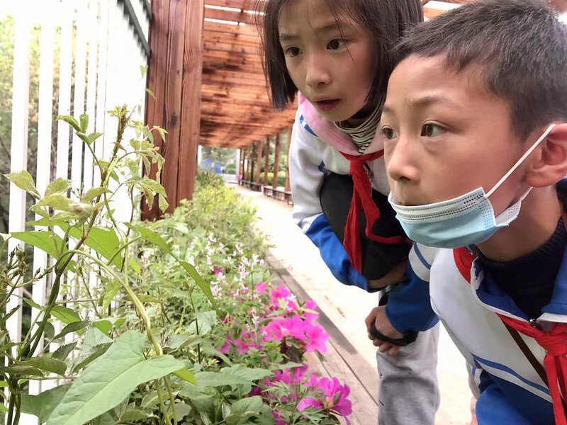 Education to nurture kindness in Chinese children