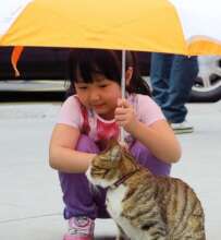 Nurturing kindness in children