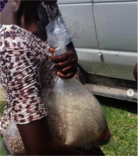 Mother receiving food for her family
