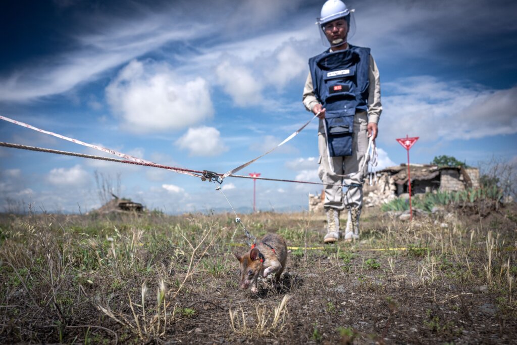 HeroRAT at work in mine detection, Azerbaijan