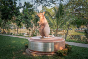 Magawa the HeroRAT memorialised in Cambodia