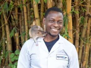 HeroRAT, Tamasha and handler - TB Detection